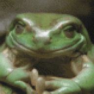 TheScumfrog