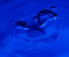 aquatic-blue-.jpg