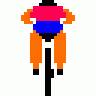 Bikegeek