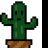 Cautious Cactus
